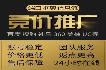 行业领先SEM服务公司案例研究